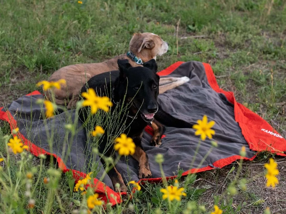 Piknik & Kamp Battaniyeleri